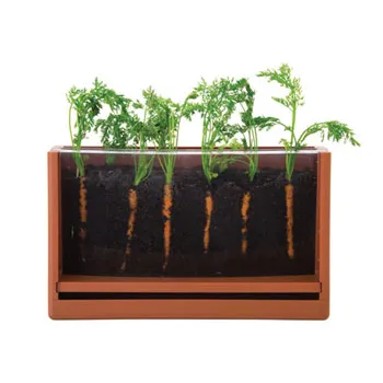 Vegetable Root Viewer - Modern Teaching Aids NZ