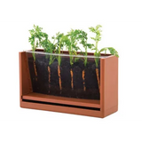 Vegetable Root Viewer - Modern Teaching Aids NZ