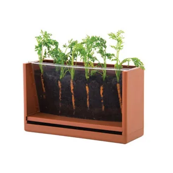 Vegetable Root Viewer - Modern Teaching Aids NZ