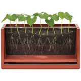 Vegetable Root Viewer - Modern Teaching Aids NZ