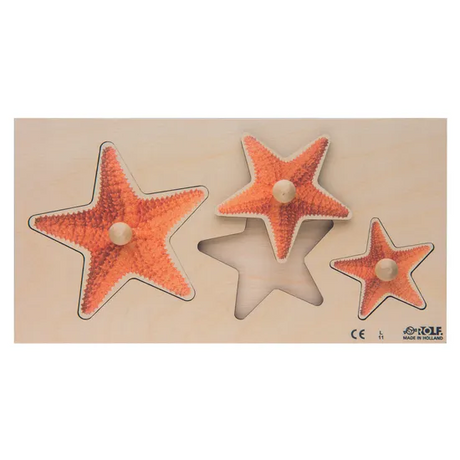 Sea Star Size Sorting Knob Puzzle 3 Pieces - Modern Teaching Aids NZ