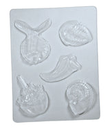 Fossil Molds - Modern Teaching Aids NZ