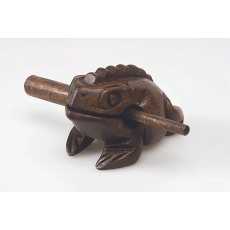 Frog Guiro - Modern Teaching Aids NZ
