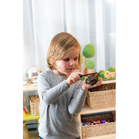 Frog Guiro - Modern Teaching Aids NZ