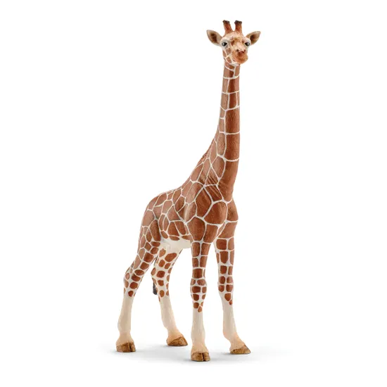 Schleich - Giraffe Female - Modern Teaching Aids NZ