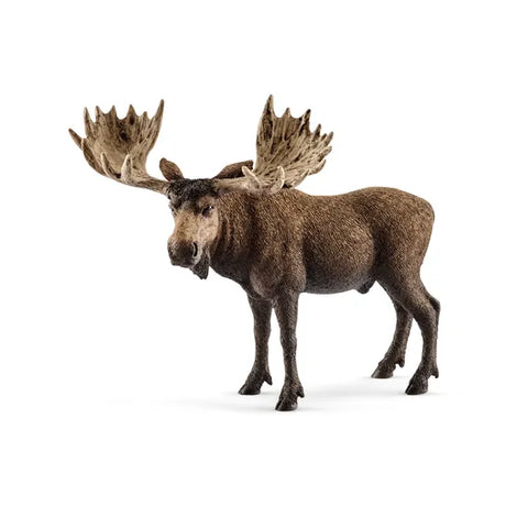 Schleich - Moose Bull - Modern Teaching Aids NZ