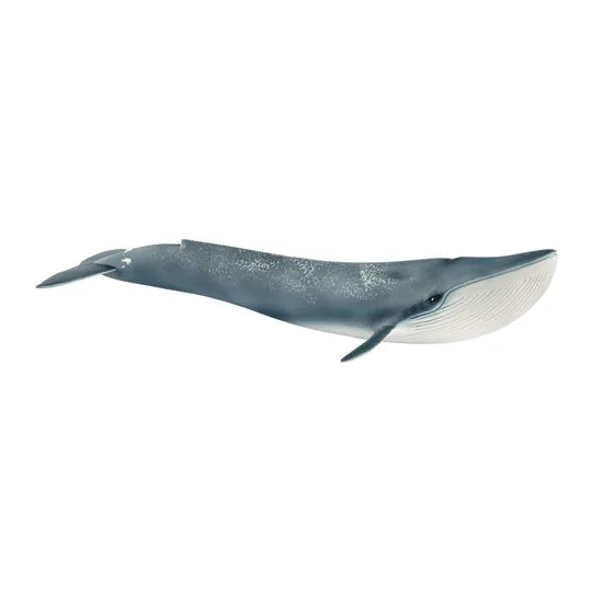 Schleich - Blue Whale - Modern Teaching Aids NZ