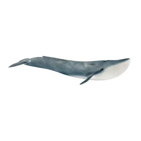 Schleich - Blue Whale - Modern Teaching Aids NZ