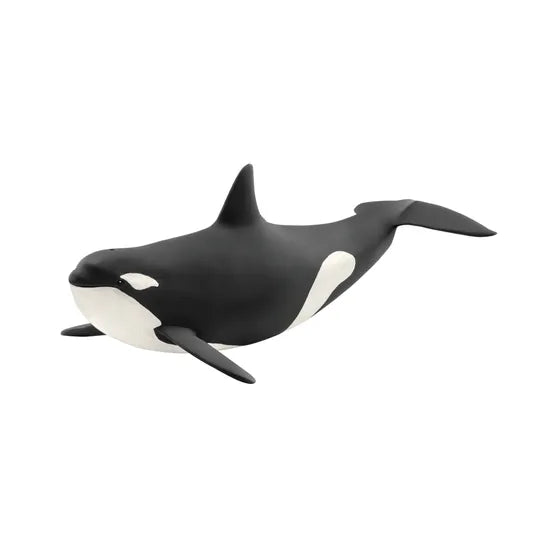 Schleich - Killer Whale - Modern Teaching Aids NZ