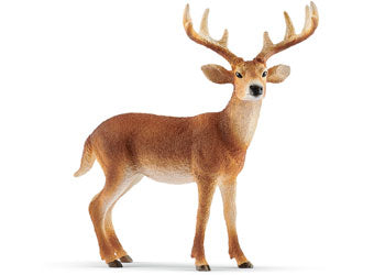 Schleich - White-Tailed Buck - Modern Teaching Aids NZ