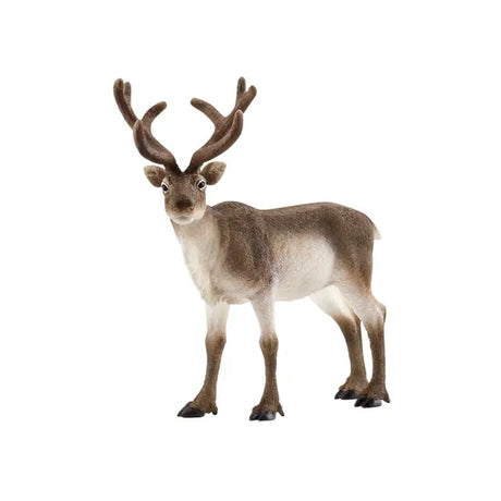 Schleich - Reindeer - Modern Teaching Aids NZ