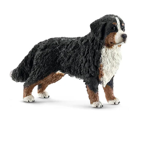 Schleich - Bernese Mountain Dog Female - Modern Teaching Aids NZ