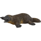 Schleich - Australian Animals, Set of 5 - Modern Teaching Aids NZ