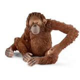 Schleich - Jungle Animals, Set of 8 - Modern Teaching Aids NZ