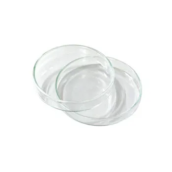 Petri Dish - Glass With Cover - 100 x 20mm - Modern Teaching Aids NZ