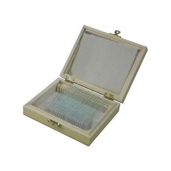 Slide Set - Protozoa & Algae - Set of 20 - Modern Teaching Aids NZ