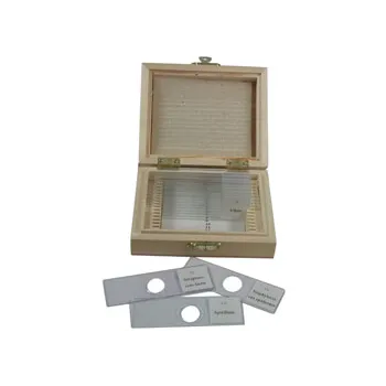 Slide Set - Mixed Bacteria - Set of 12 - Modern Teaching Aids NZ