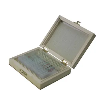 Slide Set - Histology Human - Set of 25 - Modern Teaching Aids NZ