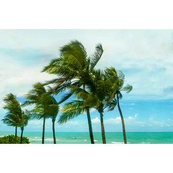 Mini LCD Display Weather Station - Modern Teaching Aids NZ