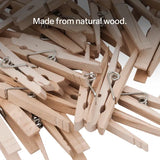 Wooden Pegs - Pack of 48 - Modern Teaching Aids NZ