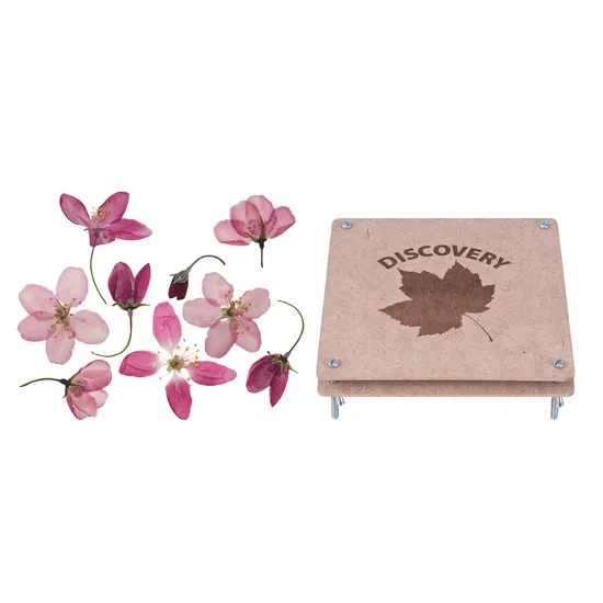 Flower Press - Modern Teaching Aids NZ