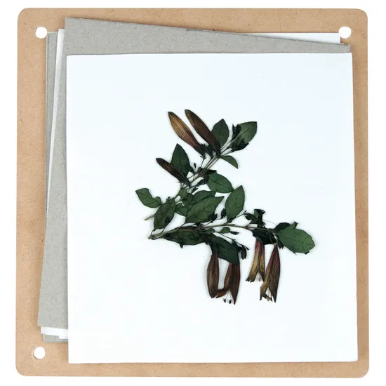 Flower Press - Modern Teaching Aids NZ