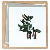 Flower Press - Modern Teaching Aids NZ