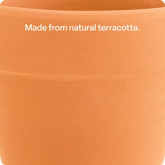 Terracotta Plant Pot - Pack of 10 - Modern Teaching Aids NZ
