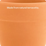 Terracotta Plant Pot - Pack of 10 - Modern Teaching Aids NZ