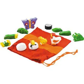 Life Cycles - Butterfly, Frog & Hen - 12 Pieces - Modern Teaching Aids NZ