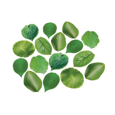 Leaf Floor Mats - 16 pieces - Modern Teaching Aids NZ
