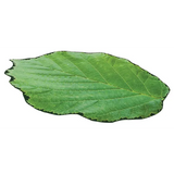 Extra Large Leaf Floor Mat - 150cm - Modern Teaching Aids NZ
