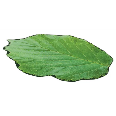 Extra Large Leaf Floor Mat - 150cm - Modern Teaching Aids NZ
