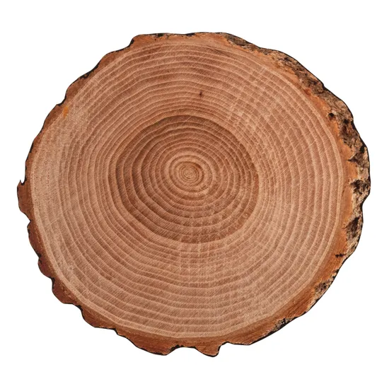 Extra Large Wooden Log Floor Mat - 150cm - Modern Teaching Aids NZ