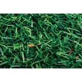Grass Playmat - 100 x 150cm - Modern Teaching Aids NZ