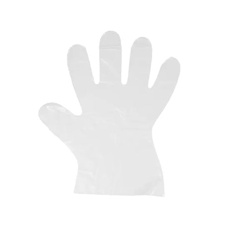 Food Service LDPE Gloves Pack of 100 - Modern Teaching Aids NZ
