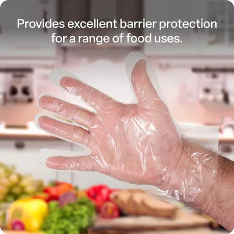 Food Service LDPE Gloves Pack of 100 - Modern Teaching Aids NZ