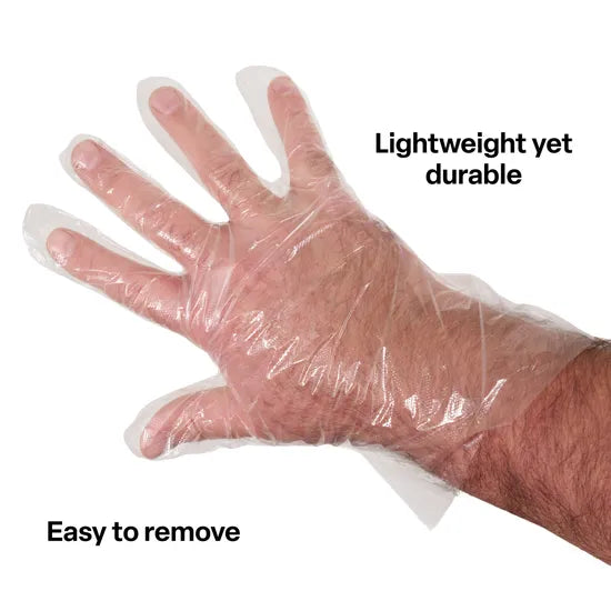 Food Service LDPE Gloves Pack of 100 - Modern Teaching Aids NZ
