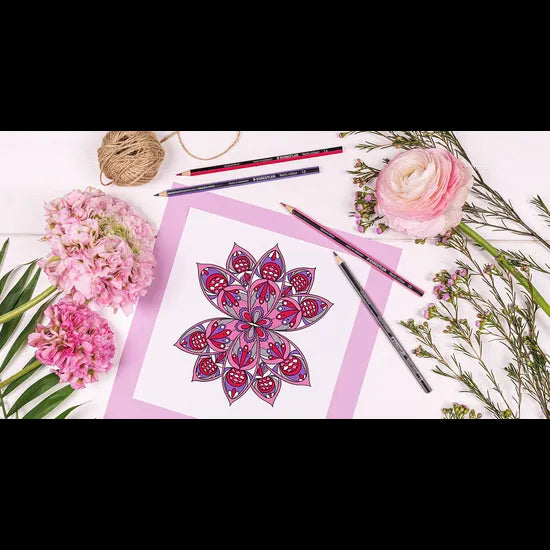 Staedtler Coloured Pencils - Pack of 108 - Modern Teaching Aids NZ