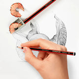 Staedtler Tradition Black Graphite HB - Pack of 12 - Modern Teaching Aids NZ