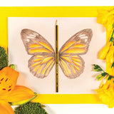 Staedtler Noris Coloured Pencils - Pack of 12 - Modern Teaching Aids NZ