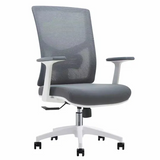 Ergerite Office Chair - White