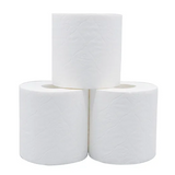Toilet Tissue 3PLY 250 Sheets Pack 48 - Modern Teaching Aids NZ