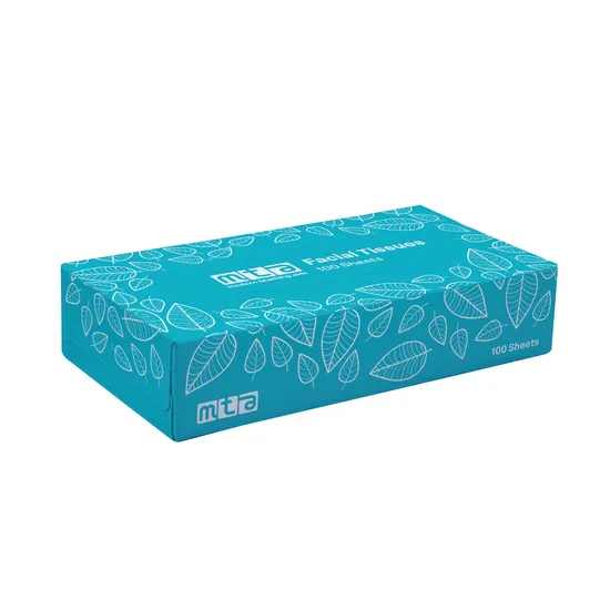 Facial Tissues 2Ply 100 Sheets - Modern Teaching Aids NZ