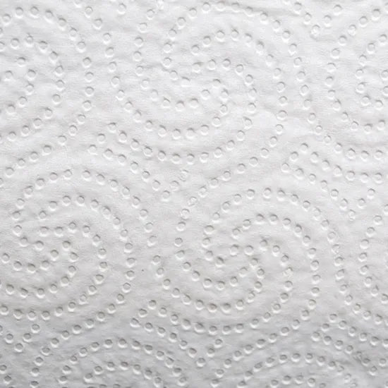 Cleangiene Kitchen Paper Towel 2Ply 60's - Pack of 24 - Modern Teaching Aids NZ