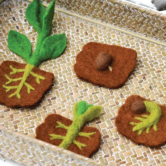 Felt Lifecycle of Bean Plant