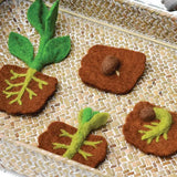 Felt Lifecycle of Bean Plant