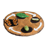 Felt Lifecycle of Monarch Butterfly