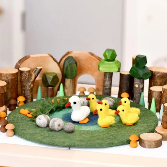 Duck Pond with 6 Ducks Play Mat Playscape - Modern Teaching Aids NZ
