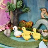 Duck Pond with 6 Ducks Play Mat Playscape - Modern Teaching Aids NZ